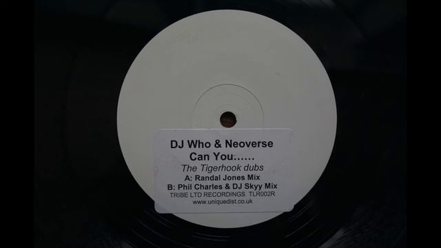 DJ Who &Neoverse - Can You (Phil Charles&dj skyy Mix) 💎 Ortofon 2M Red смотреть онлайн