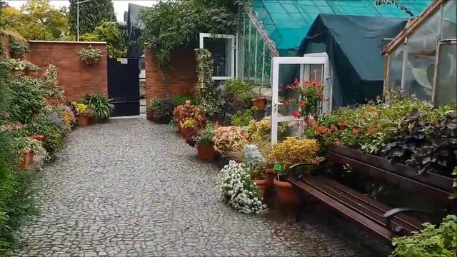 БОТАНИЧЕСКИЙ САД ВРОЦЛАВА (часть вторая). смотреть онлайн