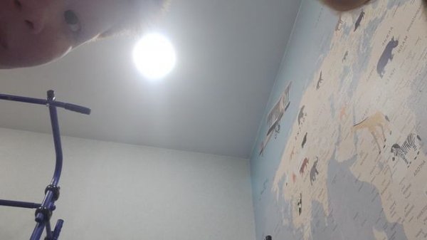 обзор на Луну