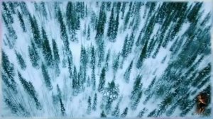 Елена Ваенга - Тайга