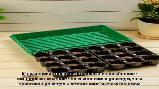 Особенности выращивания рассады овощных растений и цветов в торфяных горшочках смотреть онлайн