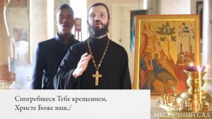 Тропарь на вербное воскресенье