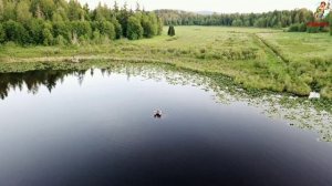 Осенний Карась. Прикормка Наживка для Карася в Октябре. Где ловить Карася в Октябре.