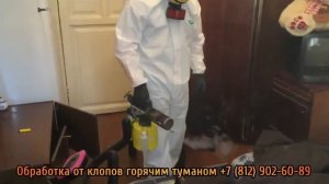 Обработка от клопов горячим туманом
