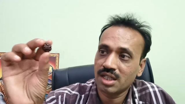 How to identify Nepal vs indonesian rudraksha Nepal Rudraksha vs Java Rudraksha identify Rudraksha смотреть онлайн