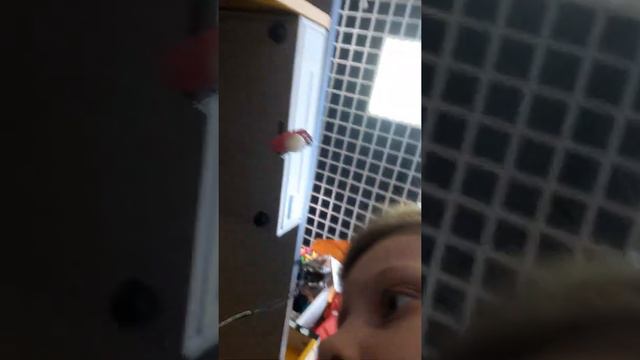 Ем кислые оливки ужасно кисло они политы лимоном смотреть онлайн