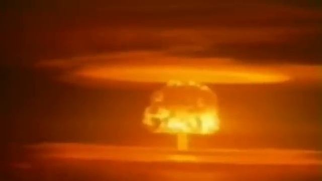 Solar Rose (Солнечная роза) смотреть онлайн