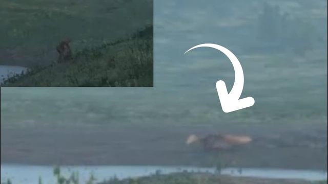 The Isle - Life of Gallus: Outcast - Ep 5 смотреть онлайн