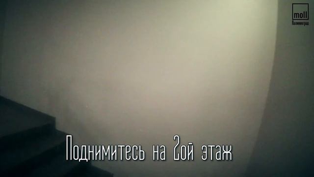 Офис продаж moll в Калининграде