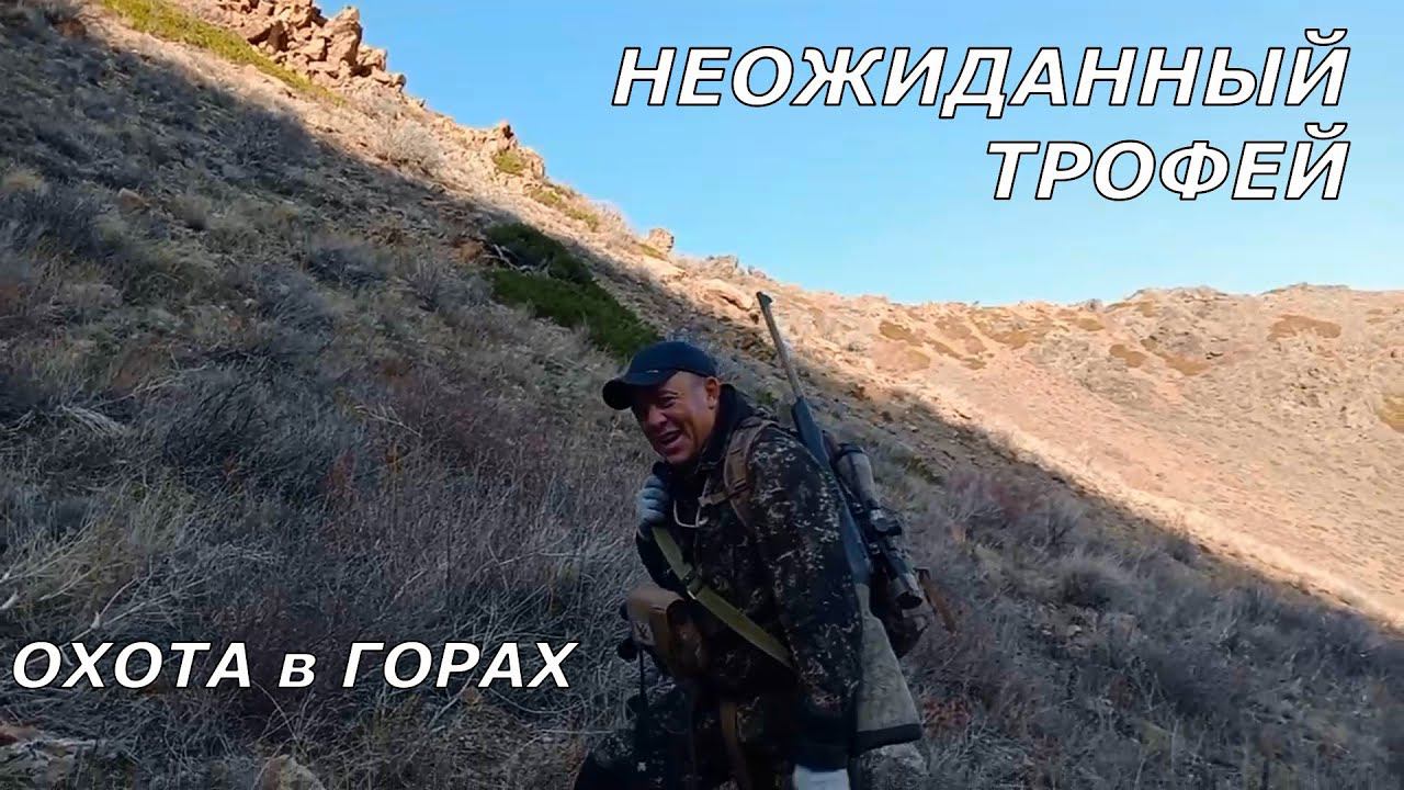 Горная охота! Трофей которого не ожидали... Видео от подписчика! смотреть онлайн