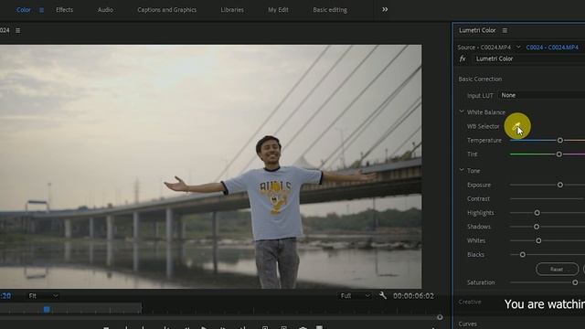 Learn Color Grading in Premiere Pro | Create Cinematic Look | Hindi смотреть онлайн