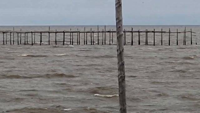 с. Рыбновск (Амурский лиман) смотреть онлайн