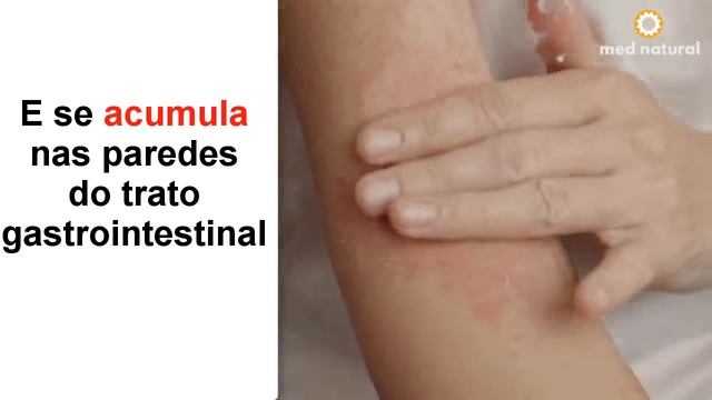 O Que Aconteceria Se Você Parasse de Comer Pão Por Uma Semana смотреть онлайн