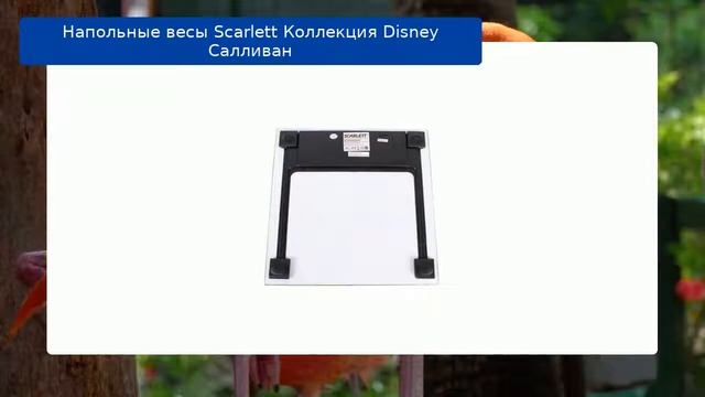 Напольные весы Scarlett Коллекция Disney Cалливан обзор смотреть онлайн