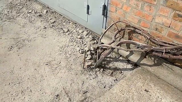 Первая весенняя подкормка винограда древесной золой смотреть онлайн