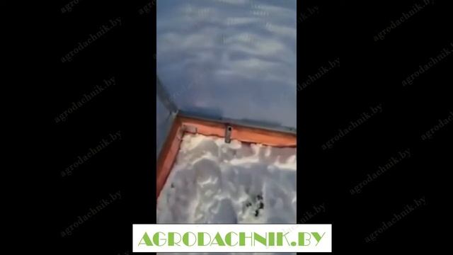 Теплица из поликарбоната для дома и дачи 