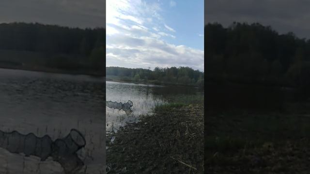 Рыбалка в Подмосковье 20кг за пару дней смотреть онлайн