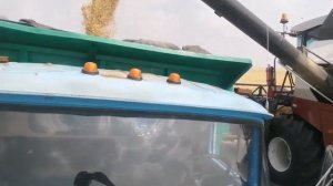 Зил 130 на уборке урожая!!!