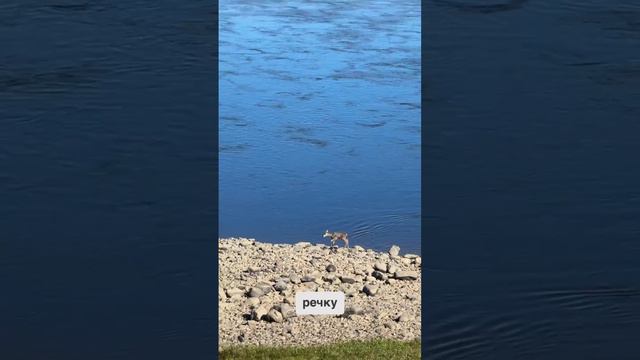 Как выглядит доброе утро в Хатанге смотреть онлайн