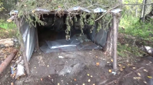 Нашёл старательский схрон! Здорово замаскировались