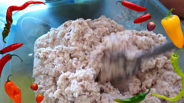 Анимационные Фильмы и Мультсериалы