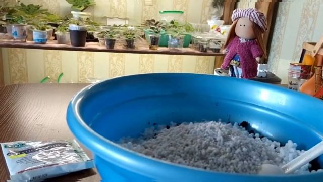 САМЫЙ ЛУЧШИЙ ГРУНТ ДЛЯ ФИАЛОК смотреть онлайн