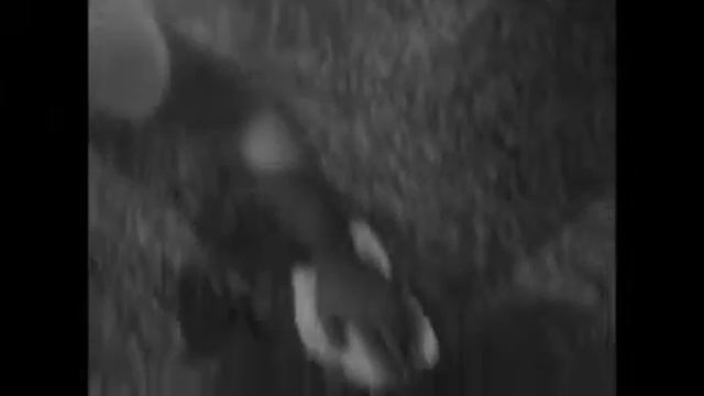 Монтаж полимерного пола с рисунком