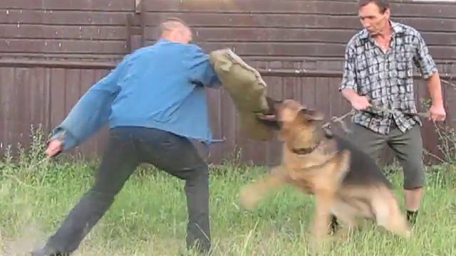 ЗКС - 6-й урок Амура.avi смотреть онлайн