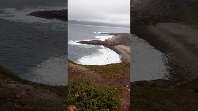 Северный Ледовитый океан смотреть онлайн