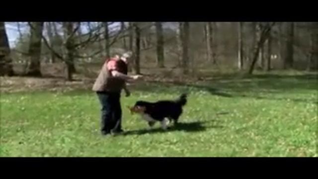 Waldi Dog Toy by Major Dog смотреть онлайн
