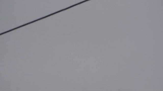 МОИ ГОЛУБИ, г ПРИВОЛЬЕ!!! УМНИК СЭРЖ, ВЫПУСТИЛ ГОЛУБЕЙ ДРОВА!!! НА ПРИРОДУ! 14.янв.2022г. смотреть онлайн