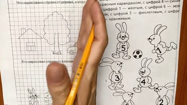 Занятие 11 для детей 3-4 лет. Студия Наумка.