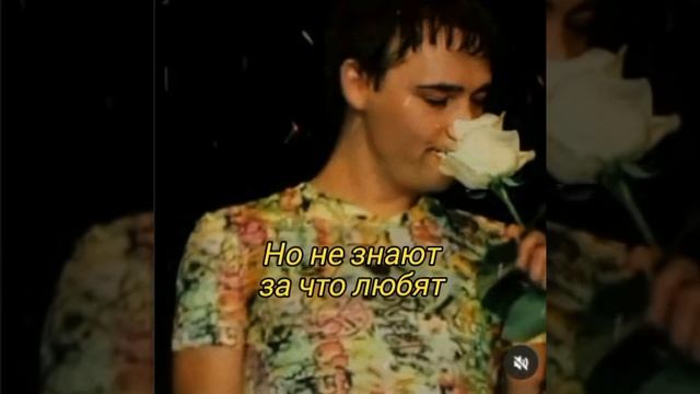 Стихотворение написанное неизвестной поклонницей Шатунова смотреть онлайн