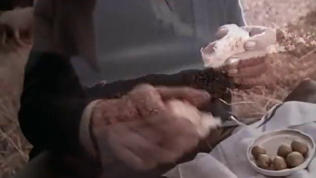 Enigma - Return To Innocence (Official Video) смотреть онлайн