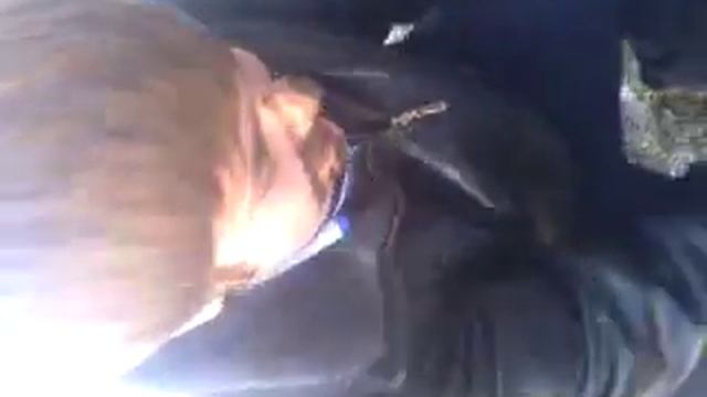 Колонка смотреть онлайн