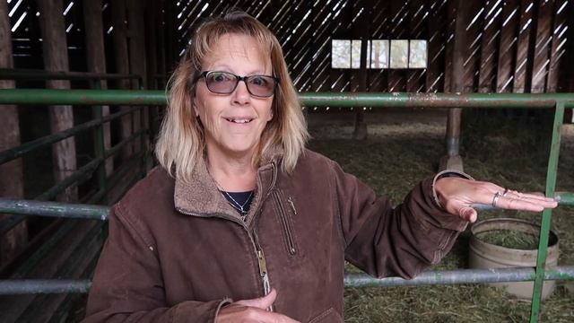 Suffolk Sheep - Sheep Breed Series смотреть онлайн