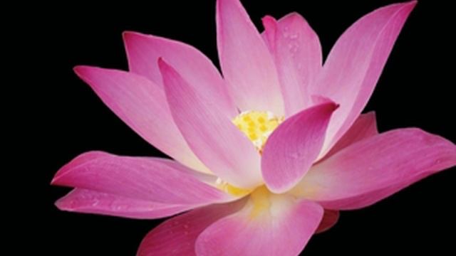 Еще один способ слушать настрои! смотреть онлайн