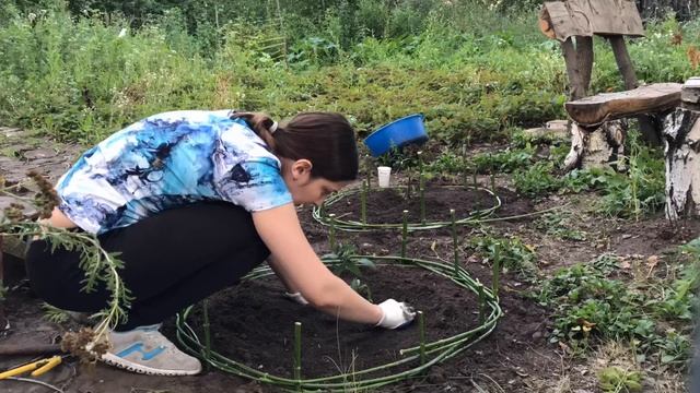 Простая, но красивая клумба без затрат смотреть онлайн