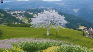 Canada Summer Mix 2024 🍓 Best Of Tropical Deep House Релакс чилаут музыка #музыка #видео