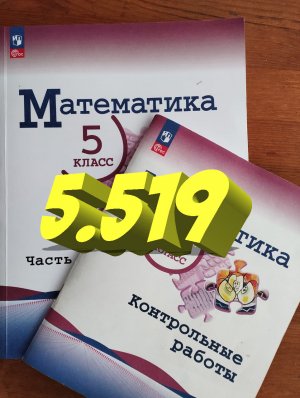 математика 5 класс номер 5.519
