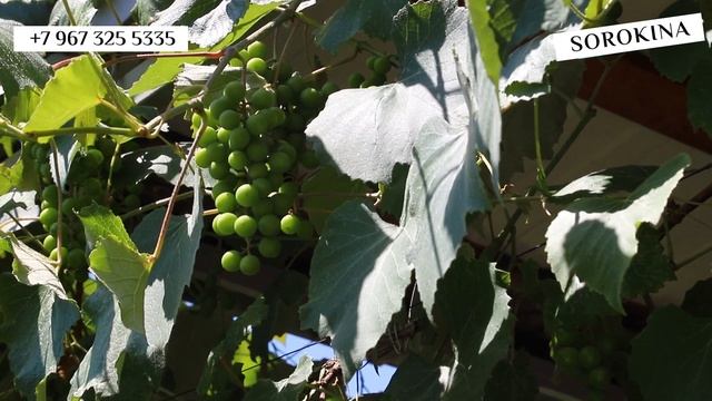 Дом в Сириусе за 100 миллионов рублей, который можно сдавать в аренду, как отель. Недвижимость Соч смотреть онлайн