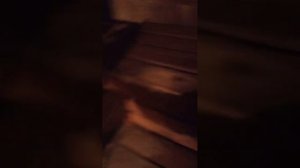 Дубовый веник.  Замачиваем и запариваем