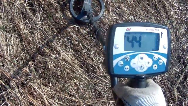 Коп на болоте с MINELAB X-TERRA 705. Муха на обед! смотреть онлайн