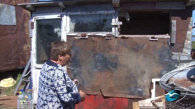 Медвежья семья забралась на дачу и съела кроликов смотреть онлайн