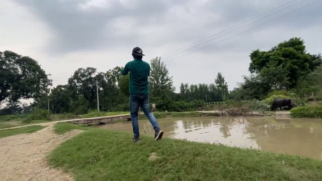 how to shoot cinematic video with mobile phone | professional video on smartphone 2021 смотреть онлайн