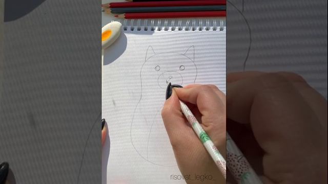 Простой способ рисования кошки | Рисуем карандашами смотреть онлайн