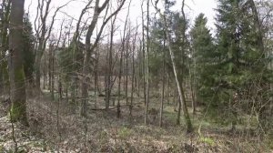 Я НАШЕЛ ЕЁ и ВЫКОПАЛ с 2-х МЕТРОВОЙ ГЛУБИНЫ!!! ПОИСК ЗЛАТА СЕРЕБРА!