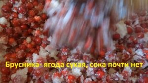 2 способа заготовки брусники на зиму- холодный и горячий