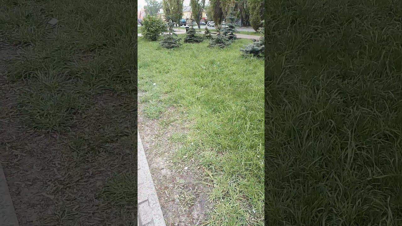 Снег 7 мая,это пипец(( смотреть онлайн
