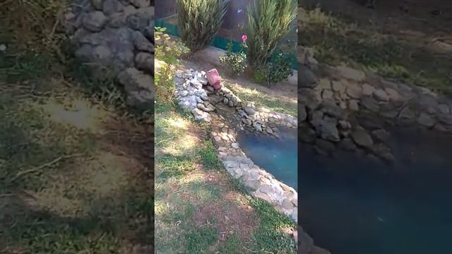 Крым,Береговое, база отдыха Коронелли ,2020 август смотреть онлайн